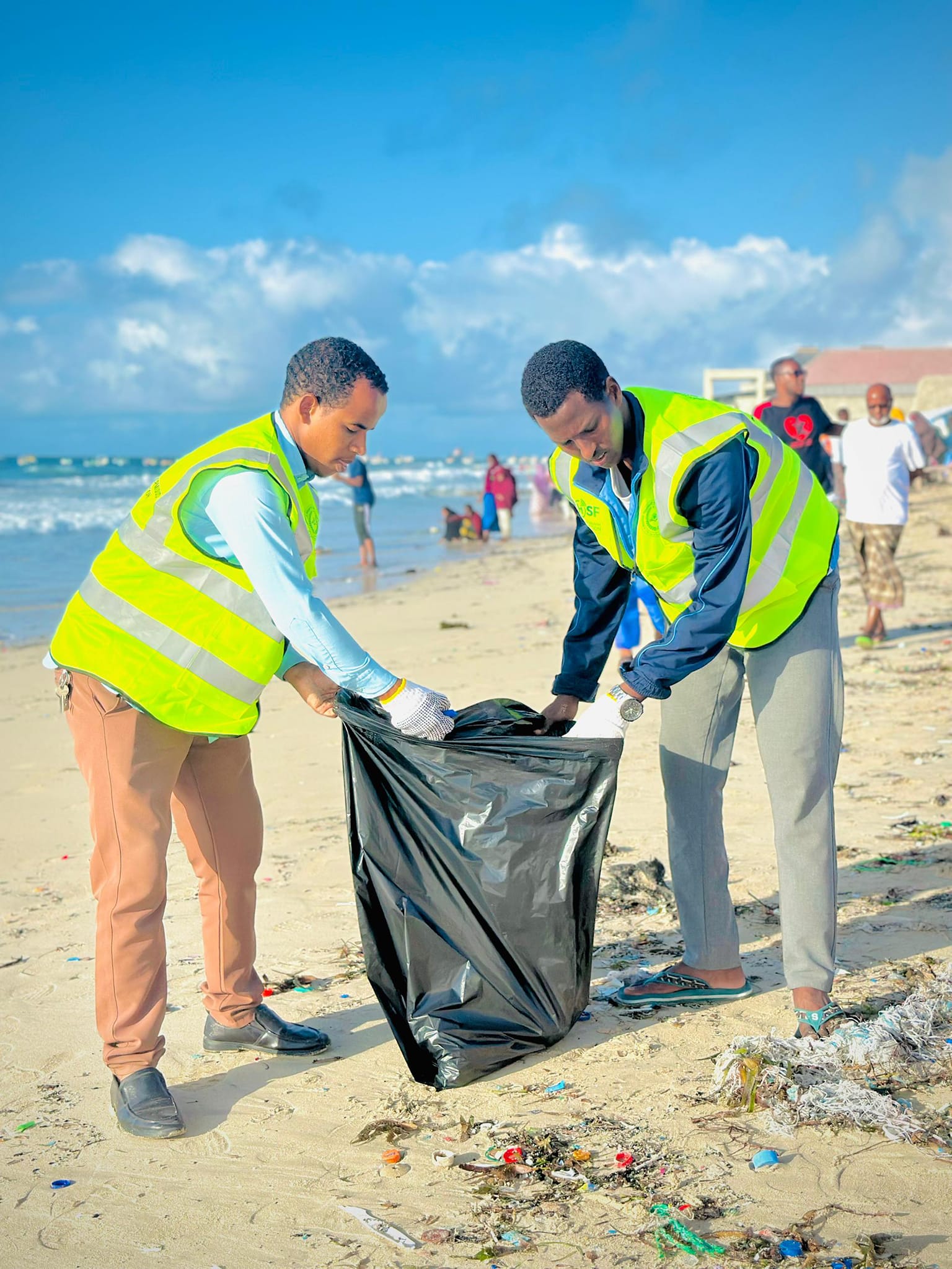 Beach Cleaning